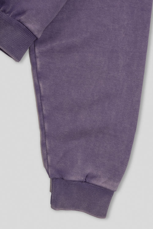 Zyra Cropped Zipper Hoodie - Washed Mauve